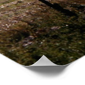 De Koning Mtn van het storm Poster (Hoek)