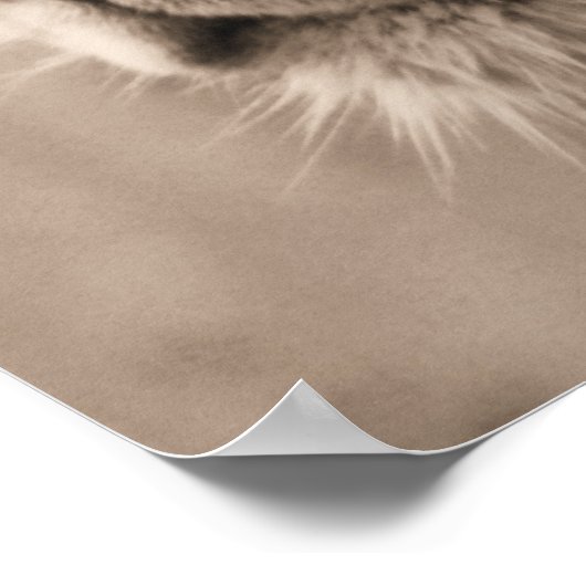 De koning poster (Hoek)