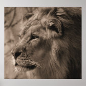 De koning poster (Voorkant)