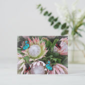 De koning Protea Briefkaart (Staand voorkant)