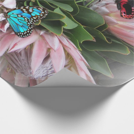 De koning Protea Cadeaupapier (Hoek)