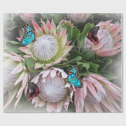 De koning Protea Cadeaupapier (Vlak)