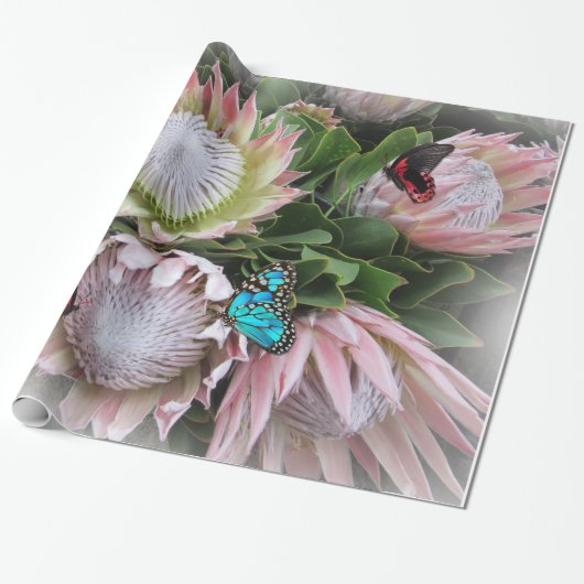 De koning Protea Cadeaupapier (Uitgerold)