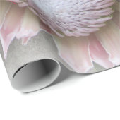 De koning Protea Cadeaupapier (Rol Hoek)