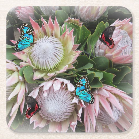 De koning Protea Kartonnen Onderzetters (Voorkant)