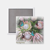 De koning Protea Magneet (Voorkant / Achterkant)