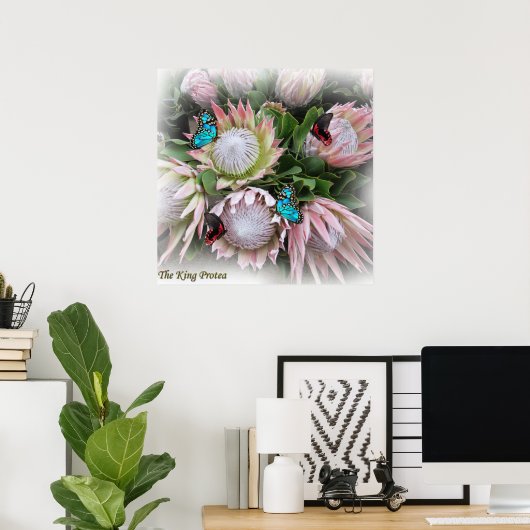 De koning Protea Poster (Thuiskantoor)