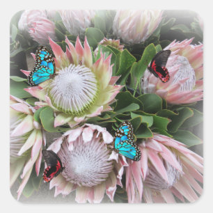 De koning Protea Vierkante Sticker