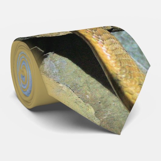 De koning stropdas (Opgerold)