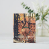 DE KONING VAN ALLE HONDEN Briefkaart voor honden (Staand voorkant)