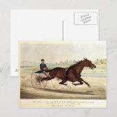 De koning van de Turf, 'St. Julien' Briefkaart (Voorkant / Achterkant)