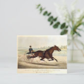 De koning van de Turf, 'St. Julien' Briefkaart (Staand voorkant)