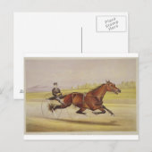 De koning van de Turf, 'St. Julien', Driven by Orr Briefkaart (Voorkant / Achterkant)