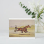 De koning van de Turf, 'St. Julien', Driven by Orr Briefkaart (Staand voorkant)