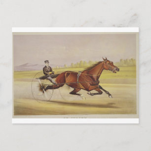 De koning van de Turf, 'St. Julien', Driven by Orr Briefkaart