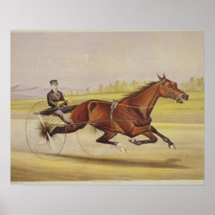De koning van de Turf, 'St. Julien', Driven by Orr Poster