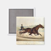 De koning van de Turf, 'St. Julien' Magneet (Voorkant / Achterkant)