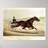 De koning van de Turf, 'St. Julien' Poster (Voorkant)