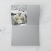 De Koning van de zwaan Kaart (Binnen)