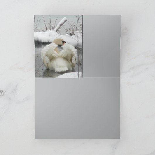 De Koning van de zwaan Kaart (Binnen)