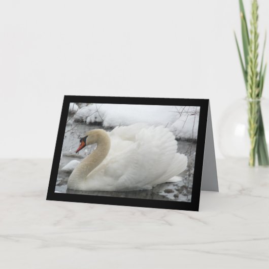 De Koning van de zwaan Kaart (Voorkant)