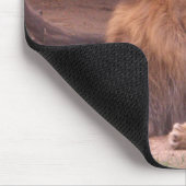 De koning van het Oerwoud Muismat (Hoek)