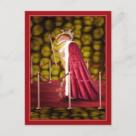 De koningin briefkaart (Voorkant)