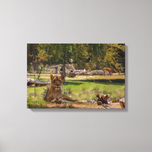 De koningin canvas afdruk (Voorkant)