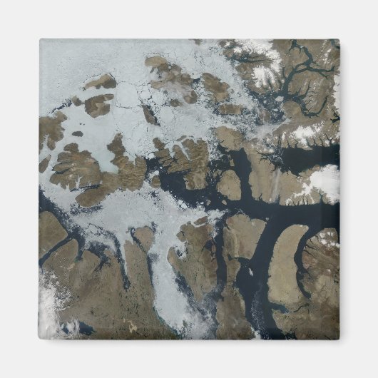 De koningin der Elizabeth Eilanden Magneet (Voorkant)