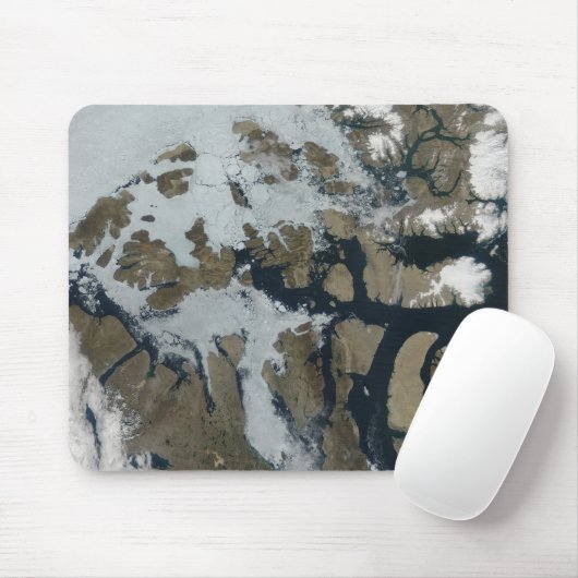 De koningin der Elizabeth Eilanden Muismat (Met muis)