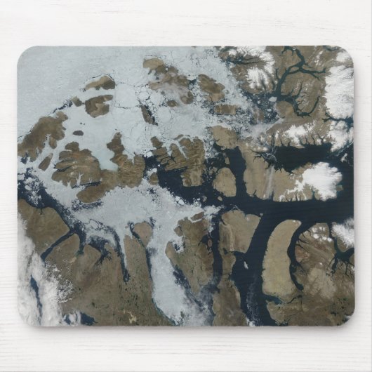 De koningin der Elizabeth Eilanden Muismat (Voorkant)