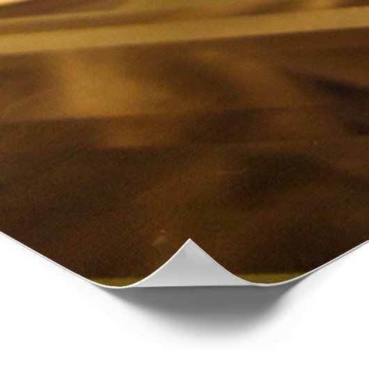 De koningin poster (Hoek)