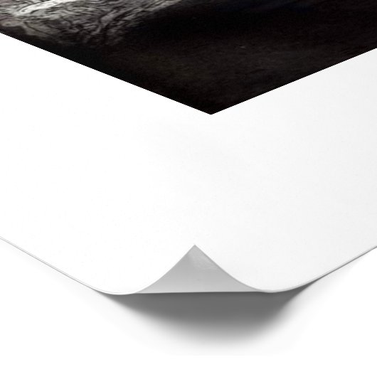 De koningin poster (Hoek)