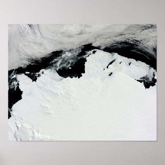 De koningin van Mary aan de kust van Antarctica Poster (Voorkant)