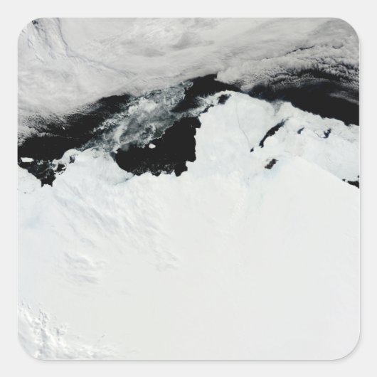 De koningin van Mary aan de kust van Antarctica Vierkante Sticker (Voorkant)