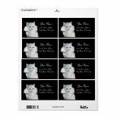 DE KONINGIN VAN WITTE KATTEN ETIKET (Full Sheet)