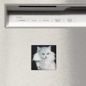 DE KONINGIN VAN WITTE KATTEN MAGNEET (Insitu (Vaatwasser))