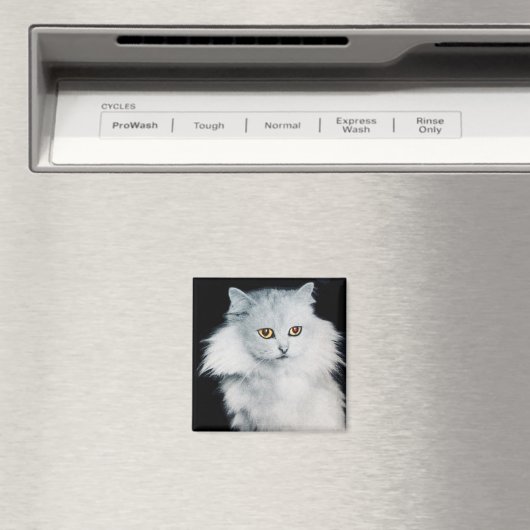 DE KONINGIN VAN WITTE KATTEN MAGNEET (Insitu (Vaatwasser))