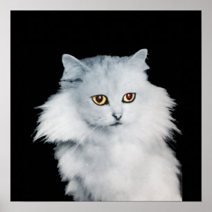 DE KONINGIN VAN WITTE KATTEN POSTER