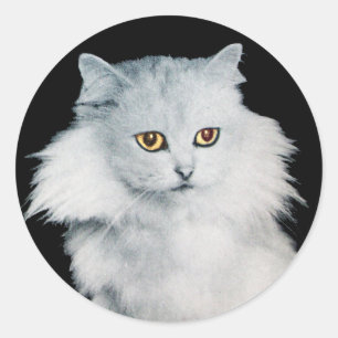 DE KONINGIN VAN WITTE KATTEN RONDE STICKER