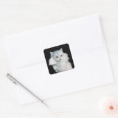 DE KONINGIN VAN WITTE KATTEN VIERKANTE STICKER (Envelop)