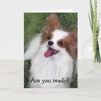 De Koopwaar van Madi van de Held van de Kus van Kaart