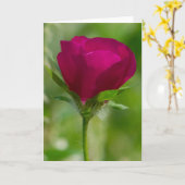 De Koppen van de wijn Kaart (Gele Bloem)