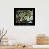 De koraalpool poster (Keuken)