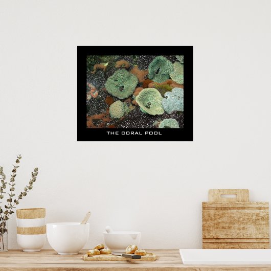 De koraalpool poster (Keuken)