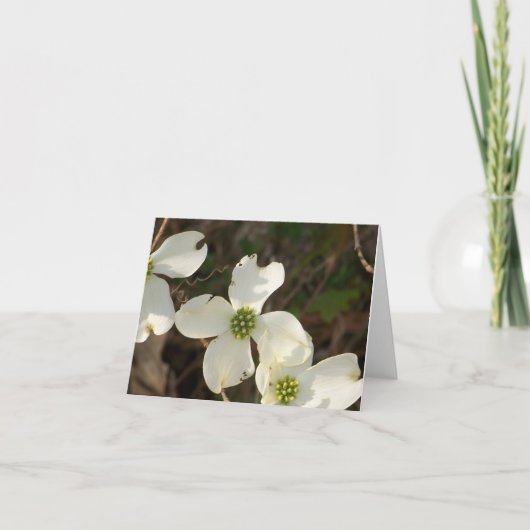 De Kornoeljes van de Kaart van de nota (Voorkant)