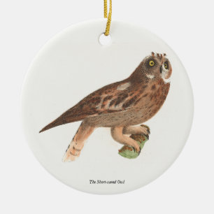 De kortarmige uil (Otus palustris) New York Bird Keramisch Ornament