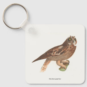De kortarmige uil (Otus palustris) New York Bird Sleutelhanger