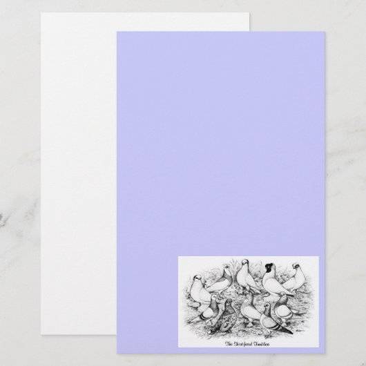 De kortharige tuimelduiven briefpapier (Voorkant / Achterkant)