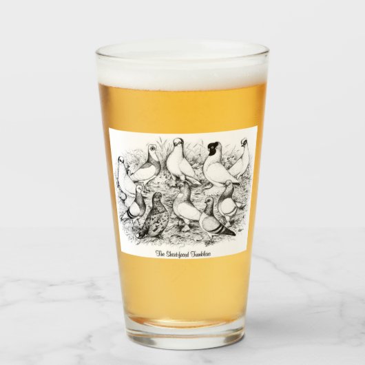 De kortharige tuimelduiven glas (Voorkant gevuld)